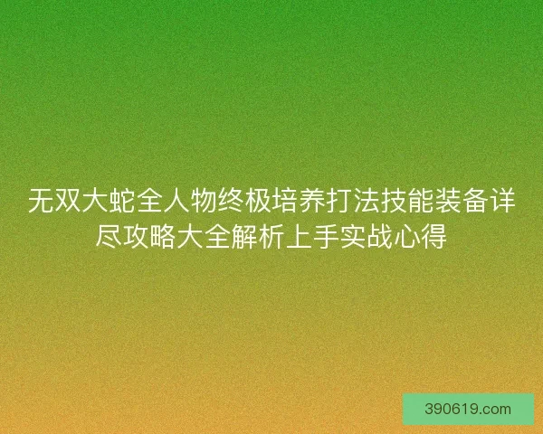 无双大蛇全人物终极培养打法技能装备详尽攻略大全解析上手实战心得