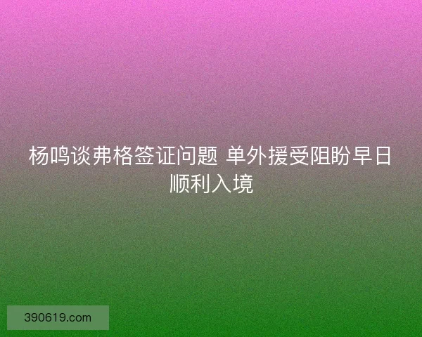 杨鸣谈弗格签证问题 单外援受阻盼早日顺利入境