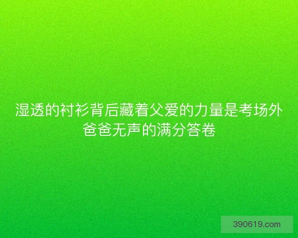湿透的衬衫背后藏着父爱的力量是考场外爸爸无声的满分答卷
